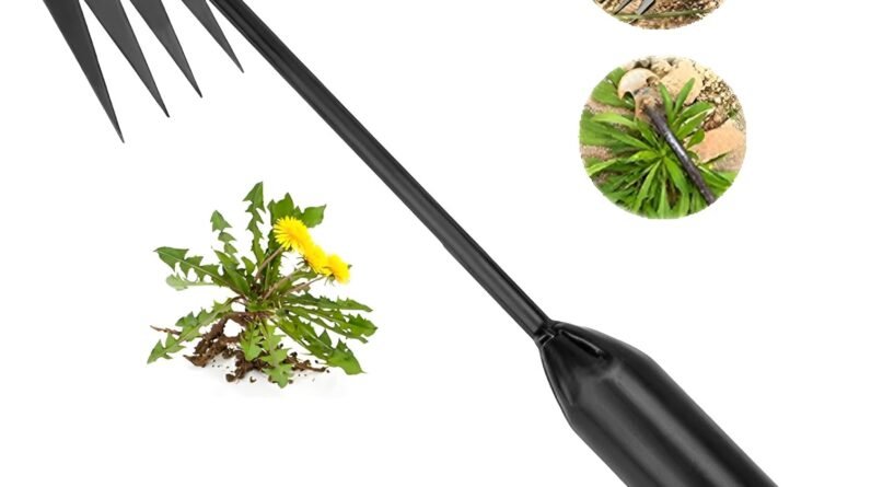 Carrie Rowe Weed Puller Tool Review – landscapetoolsreview.com